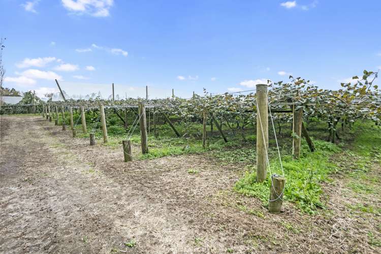 263 Waihi Beach Road Waihi_13