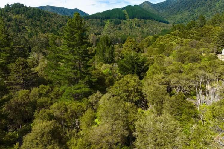 Lot 1 Nydia Bay Marlborough Sounds_16