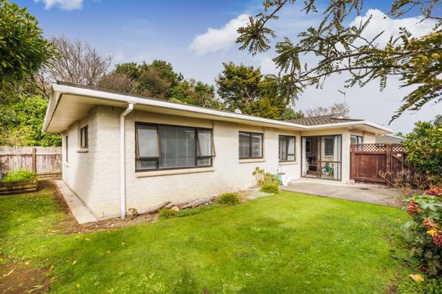 340b Featherston Street Palmerston North Central_1