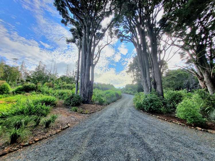629E Tara Road Mangawhai_20