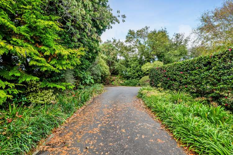 37 Fantham Street Hawera_34