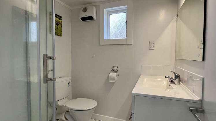 28 Greenfield Street Hector_19