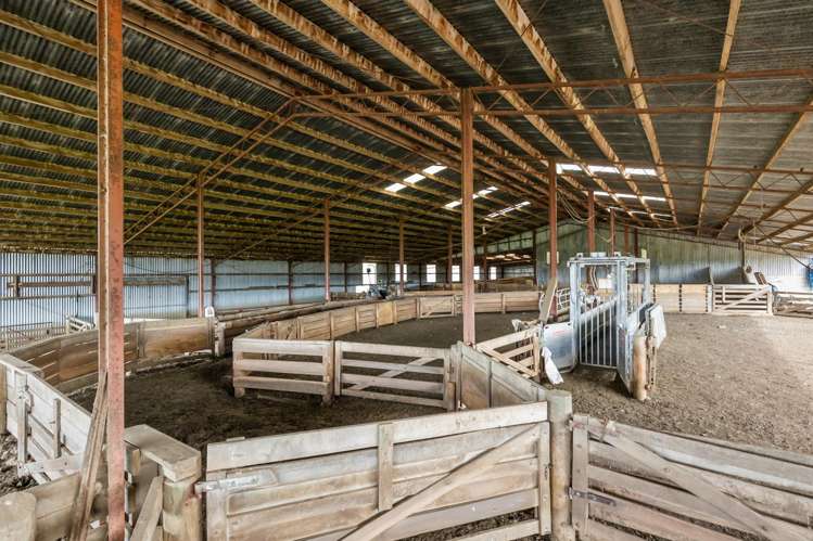 759 Waitahuna Gully Road Manuka Creek_13