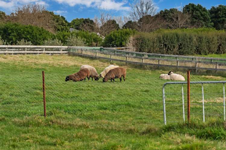 56 Saddleton Road Waiau Pa_18