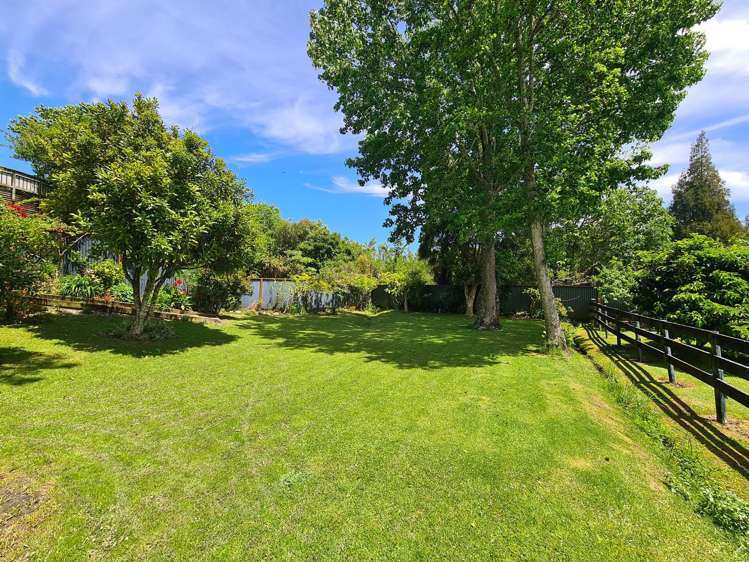 1225 Rings Road Coromandel_17