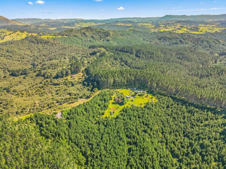 110 Whangape Track Road Broadwood_40