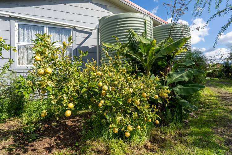 12 Guy Road Kaikohe_24