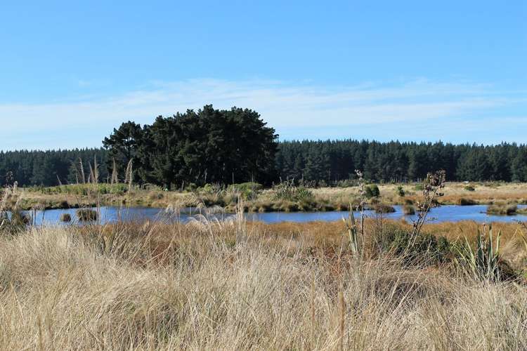 64 Te Kohanga Drive Pegasus_0