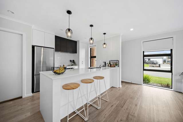 15 Nathan Lane Masterton_3