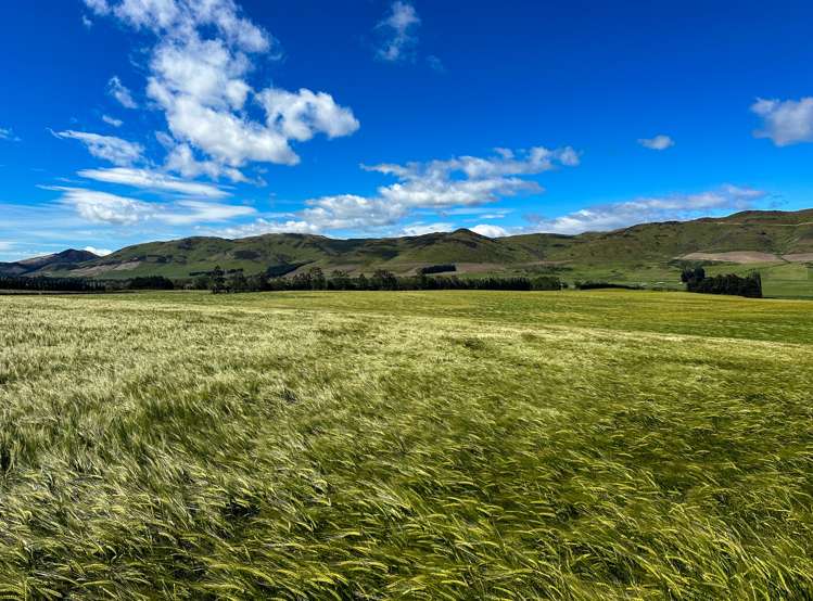 909 Nine Mile Road Riversdale_12