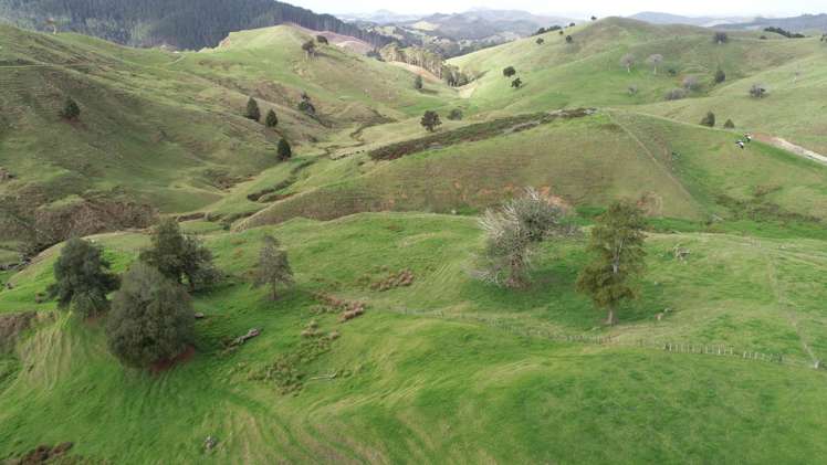 481 Moore Road Pipiwai_8