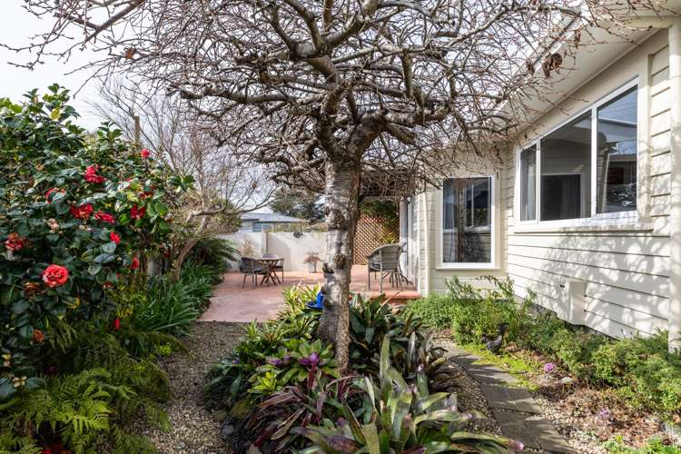 30 Balliol Avenue Pirimai_20