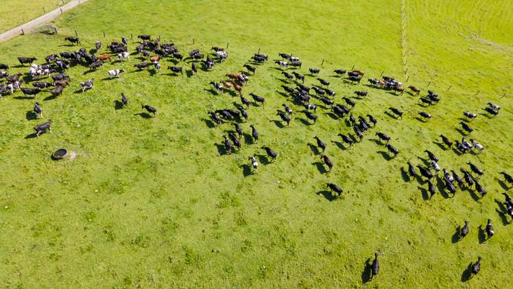 173 Day Road Wellsford_23