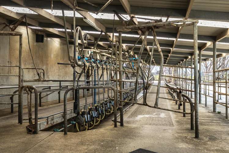 1807 Kahutara Road Kahutara_11