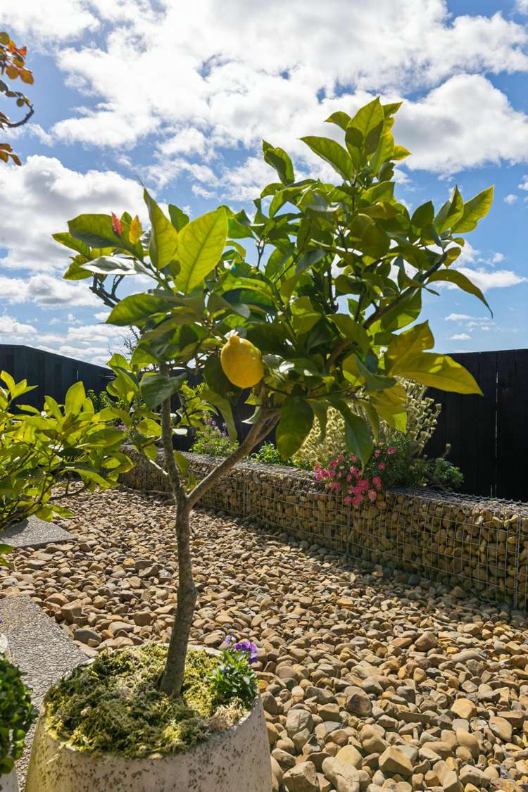 32 Pourewa Street Te Kauwhata_25