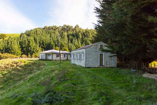 496 Pukeatua Road Dannevirke_4