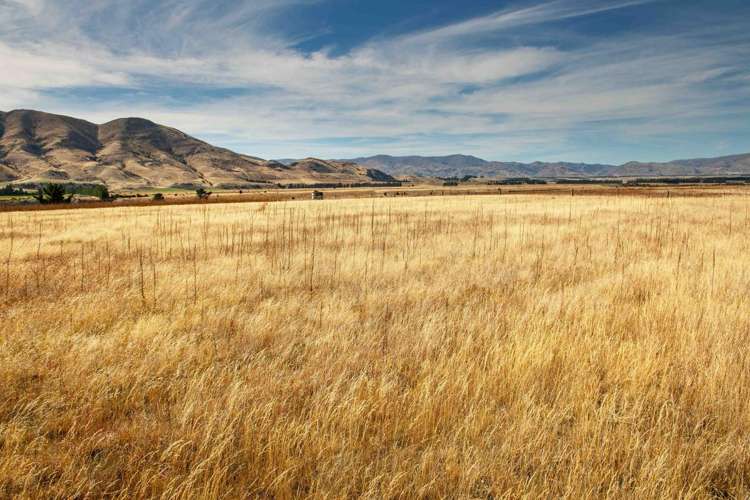 3166 Luggate-Cromwell Road_1