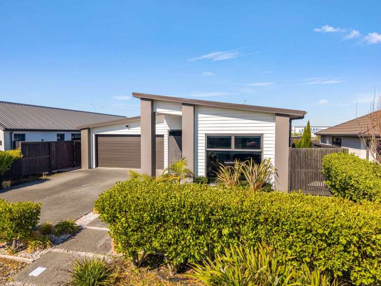 37 Lulu Avenue Chartwell_22