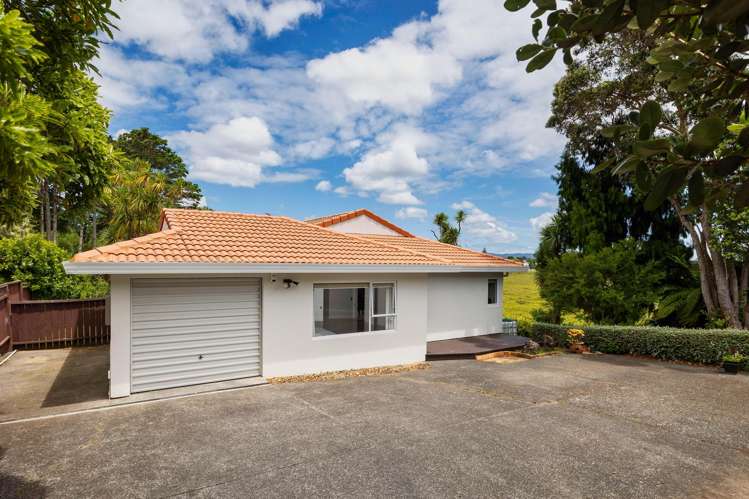 46C Fairlands Avenue Waterview_0