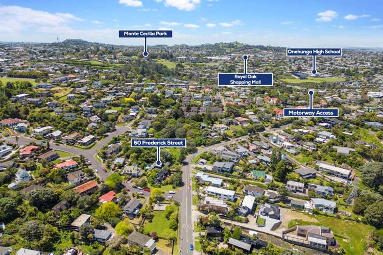 50 Frederick Street Hillsborough_30