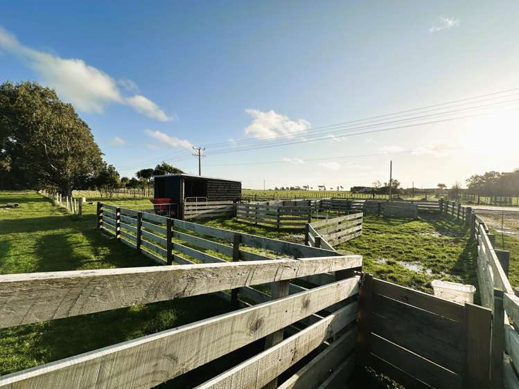 253 Pukepapa Road Marton_24