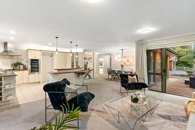 58 Haigh Access Road Redvale_1