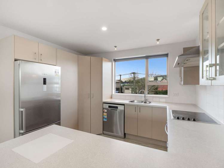 25c Montrose Street Sydenham_7