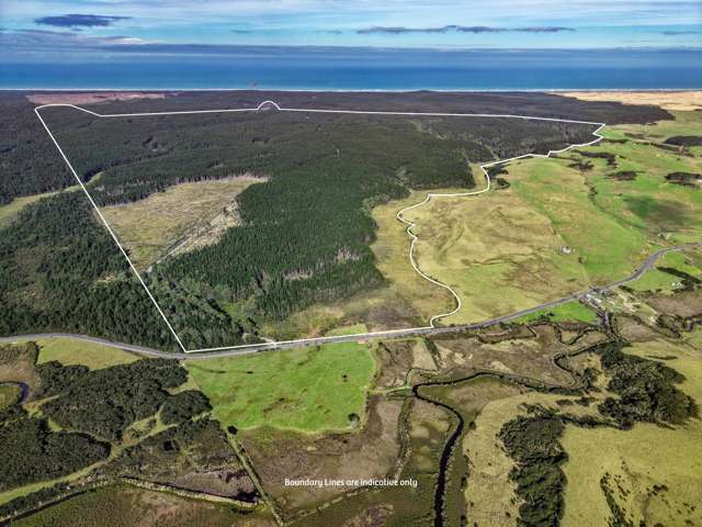SHENSTONE FOREST - WAITIKI LANDING FAR NORTH
