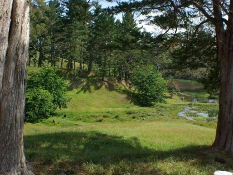 67 Wiroa Road Kerikeri_1