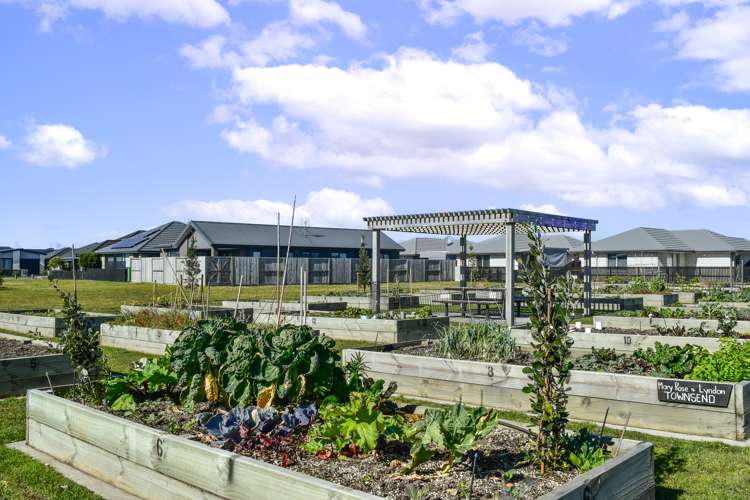 44 Crown Street Papamoa_20