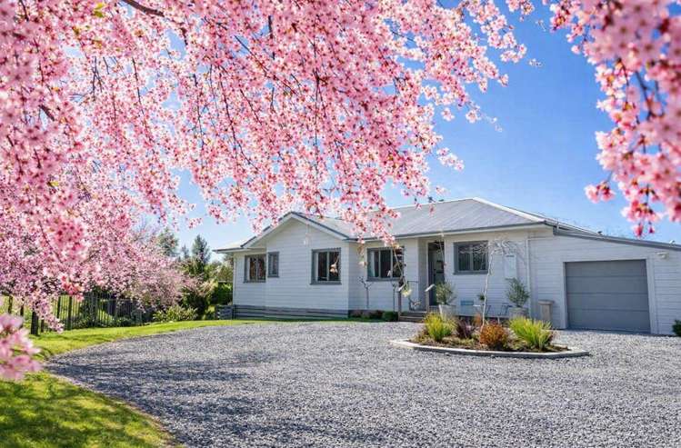 754 Ongaonga Road_0