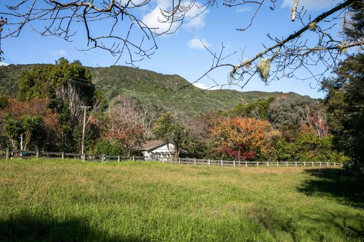 449 Kauaeranga Valley Rd Thames_24