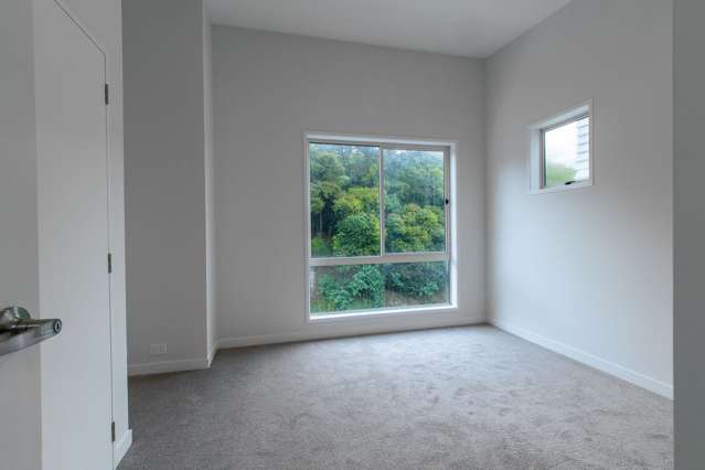 28/27 Birdwood Crescent Parnell_4