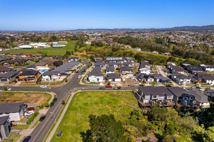 1 Kaimai Avenue Massey_15