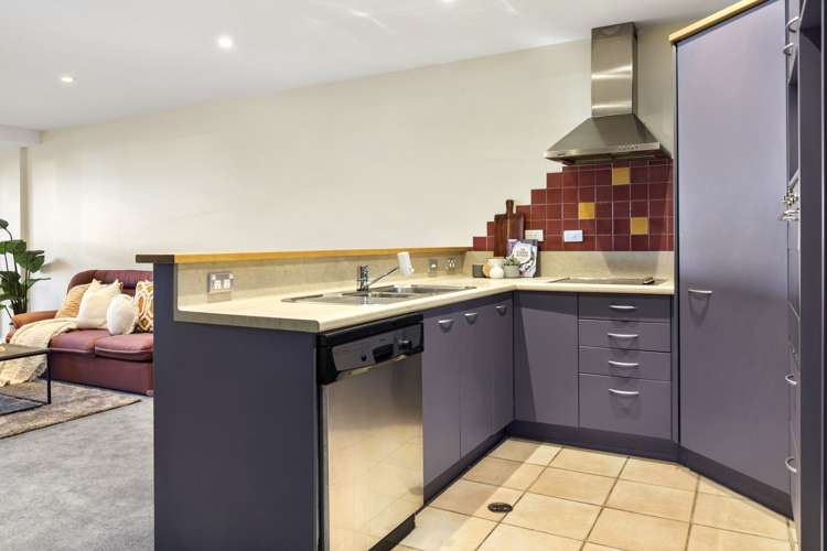 2f/5 Kent Terrace Mount Victoria_4