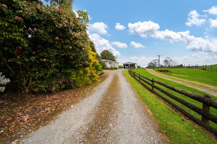 137 Lincoln Road Masterton_8