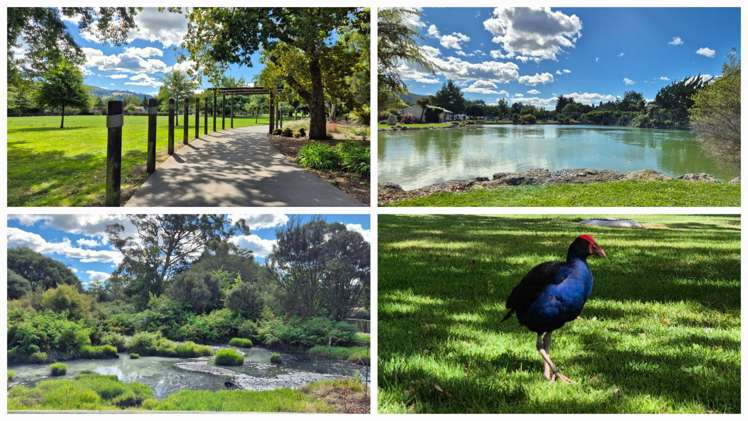 3/1328 Pukuatua street Rotorua_20