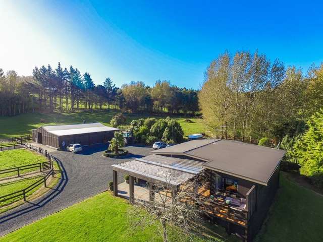 388 Kahikatea Flat Road Waitoki_1