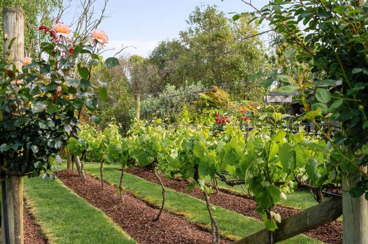 33 Haswell Place Huntington_38