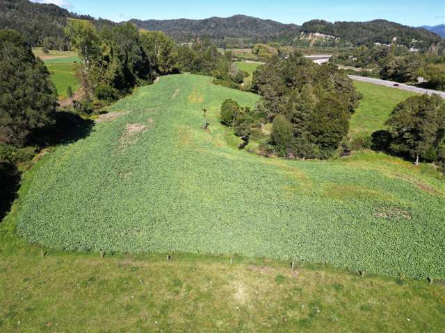 520 Upper Buller Gorge Road Inangahua_4