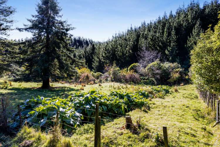 749 Motukawa Road Tarata_15