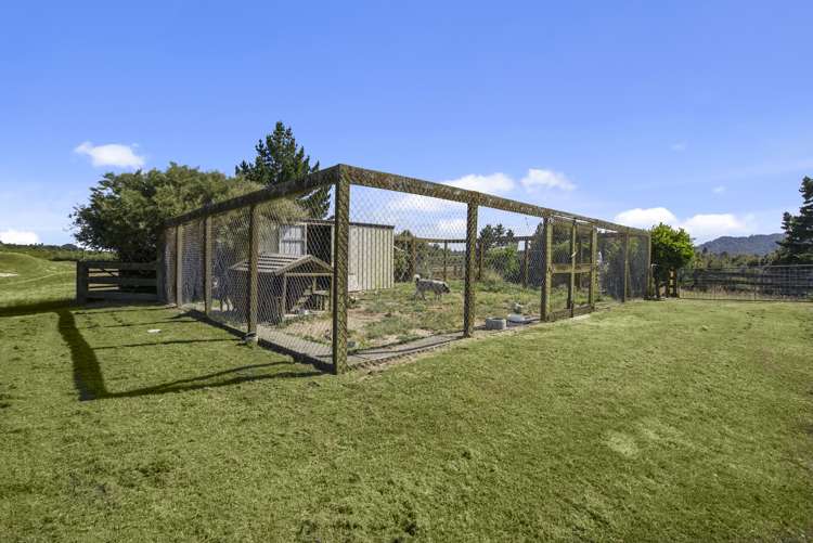 181 Mangatoi Road Oropi_13