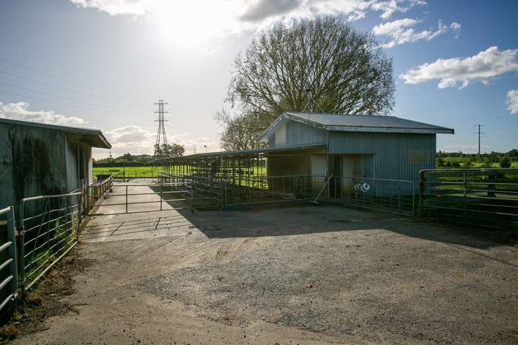 378 Victoria Road Pukemoremore_5