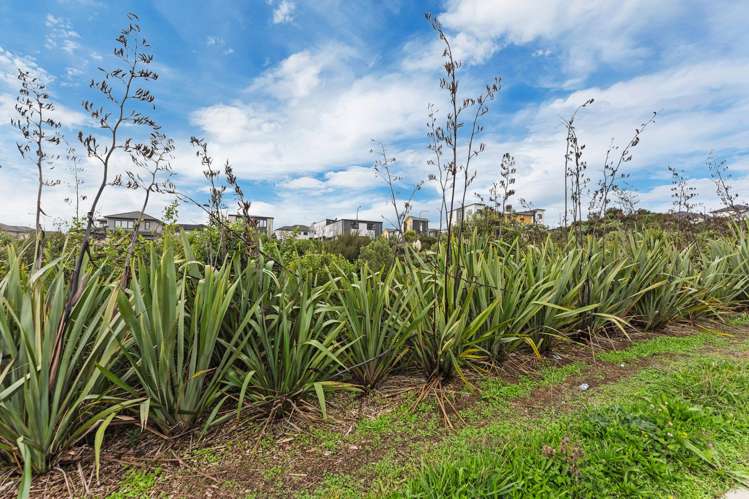 20 Karoro Road Flat Bush_21