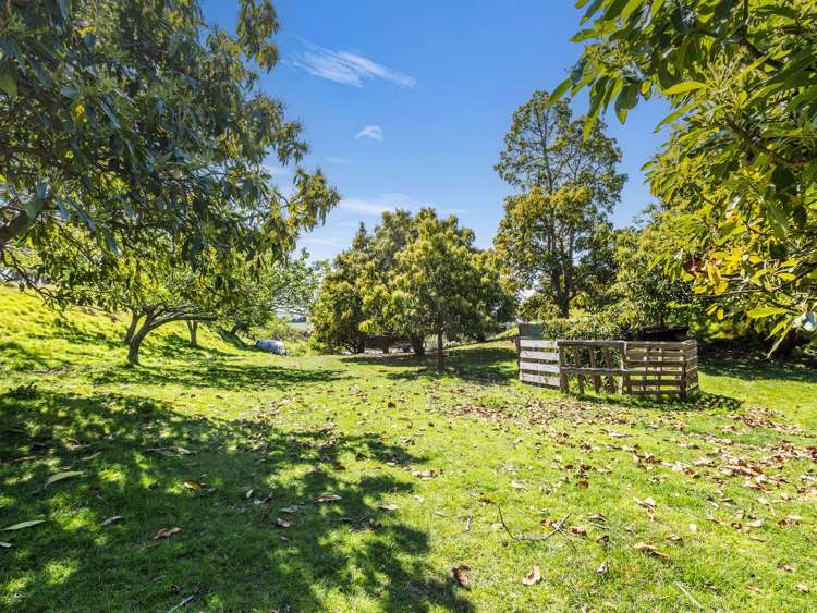 70 Nilgiri Road Poraiti_30