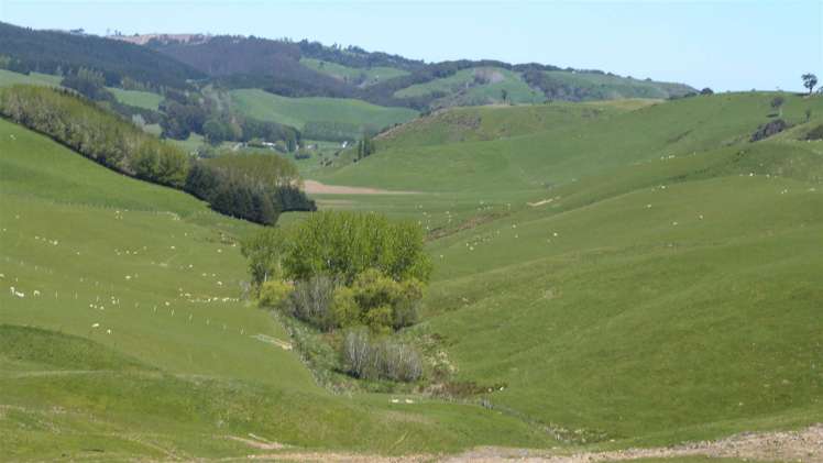 309 Hagen Road Orawia_12