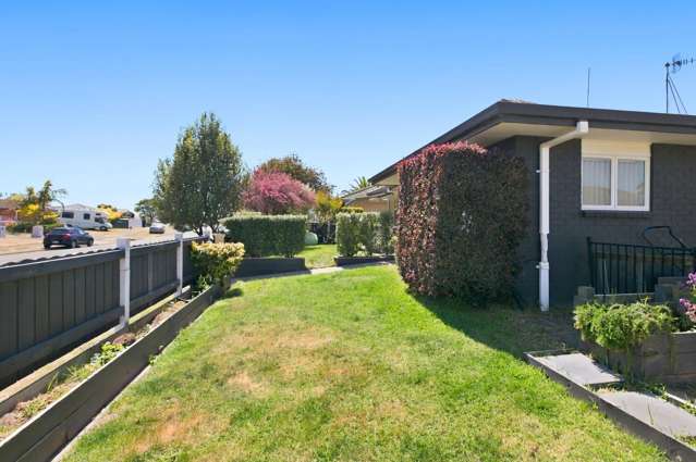 49A Lotus Avenue Mt Maunganui_4