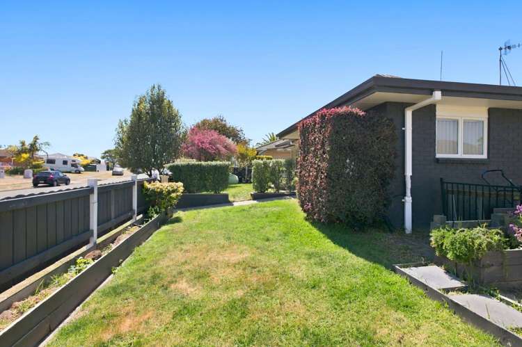 49A Lotus Avenue Mt Maunganui_4