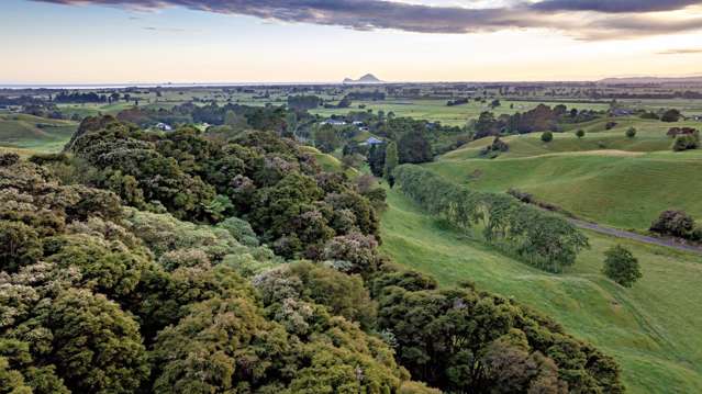 Three hectares of pure potential on withy road