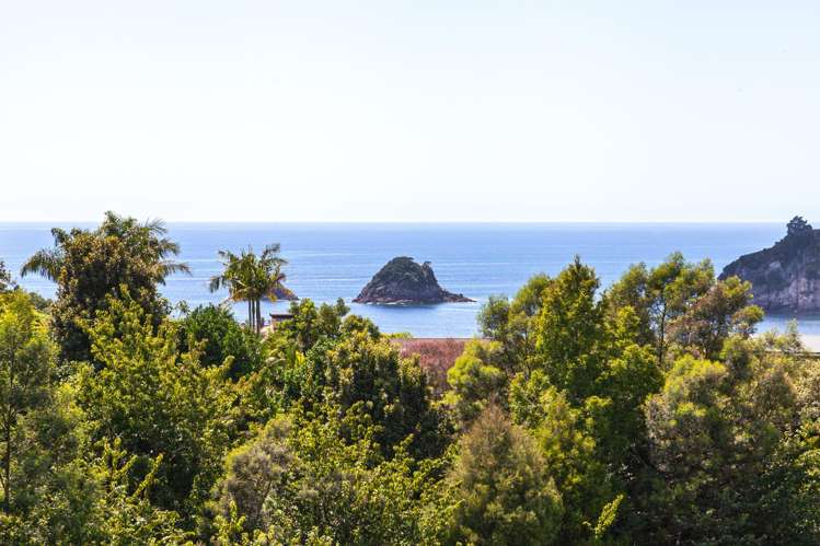 65 Grange Road Hahei_7